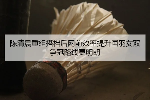 陈清晨重组搭档后网前效率提升国羽女双争冠路线更明朗